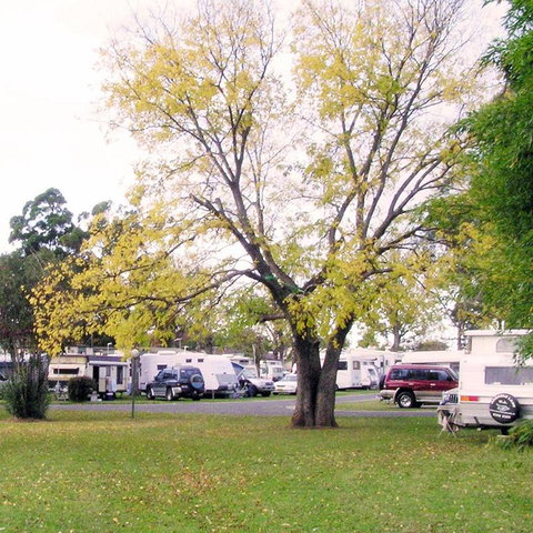 Poplar Tourist Park - Surfers Paradise Gold Coast 2