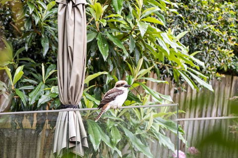 Quaint Queen Room - Central Location At Pymble - Shared Bathroom - Surfers Paradise Gold Coast 1