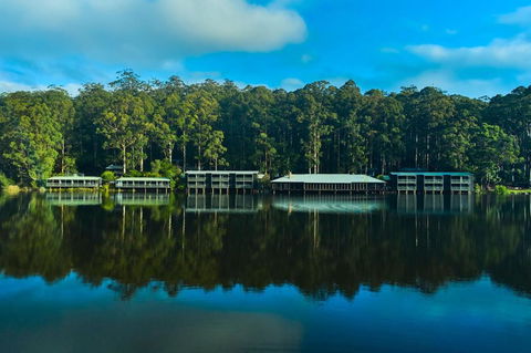 RAC Karri Valley Resort - Surfers Paradise Gold Coast 2