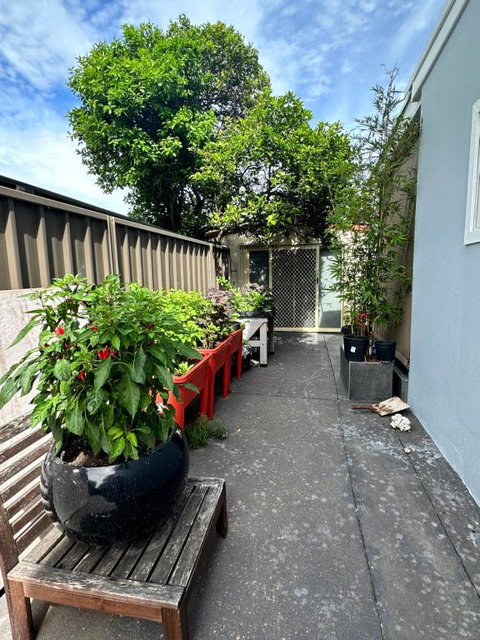 Private, Local Living Studio In Mascot, Airport - Surfers Paradise Gold Coast 2
