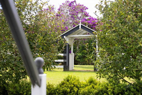 Rambling Roses - Surfers Paradise Gold Coast 1