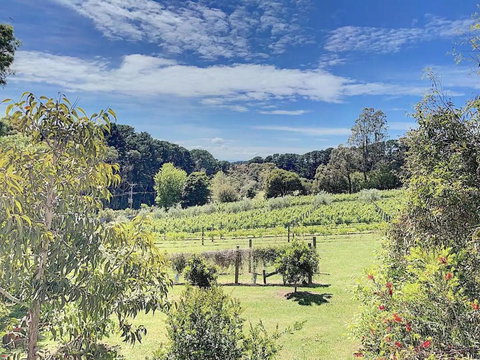 Red Hill Lane 5BedroomVineyard&RuralValleyViews - Surfers Paradise Gold Coast 3