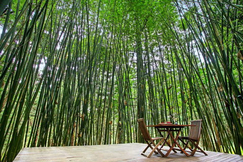Azabu Boutique Accommodation - Surfers Paradise Gold Coast 1