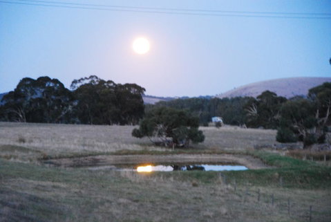 Back Valley Farm Stay Bed And Breakfast - Surfers Paradise Gold Coast 3