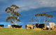 Back Valley Farm Stay Bed And Breakfast - thumb 2