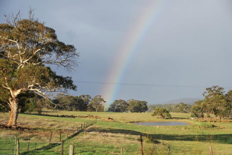 Back Valley Farm Stay Bed And Breakfast - Surfers Paradise Gold Coast 0