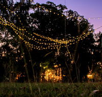Banyan Tree - Surfers Paradise Gold Coast