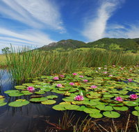 Barrington Hideaway- River Cottages - Surfers Paradise Gold Coast