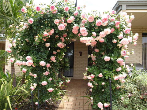 Baudins Of Busselton Bed And Breakfast - Surfers Paradise Gold Coast 0