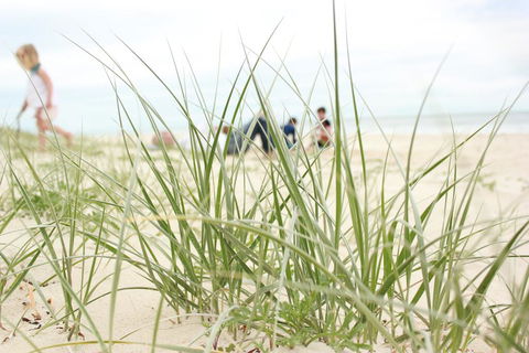 Beachfront At Bribie 2 Puppy Friendly - Surfers Paradise Gold Coast 3