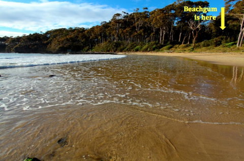Beachgum - Surfers Paradise Gold Coast 2
