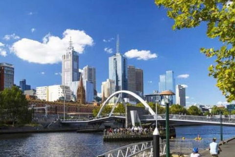 Royal Botanic Garden Yarra River - Surfers Paradise Gold Coast 3