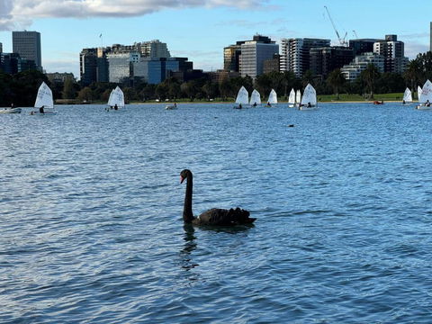 Sand & The City - Surfers Paradise Gold Coast 2