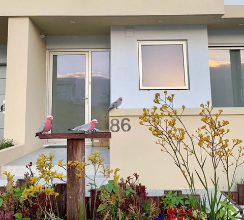 Sorrento Bluewater Apartment - Surfers Paradise Gold Coast 2