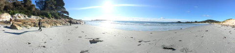 Bicheno On The Beach - Surfers Paradise Gold Coast 1