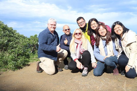 Small-Group Great Ocean Road And Twelve Apostles Full-Day Tour - Surfers Paradise Gold Coast 3