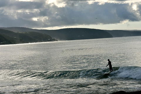 Small-Group Great Ocean Road And Twelve Apostles Full-Day Tour - Surfers Paradise Gold Coast 5