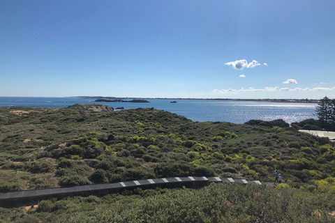 Penguin Island And Fremantle - Canoe, Chocolate & Coffee - Surfers Paradise Gold Coast 0