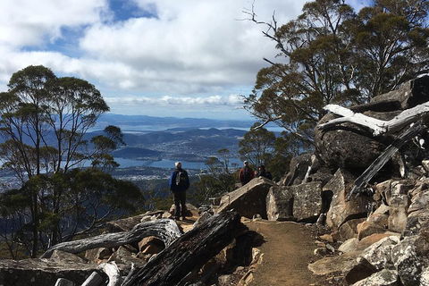 Kunanyi / Mt Wellington Explorer Bus - 2 Hour Return Tour - Surfers Paradise Gold Coast 0