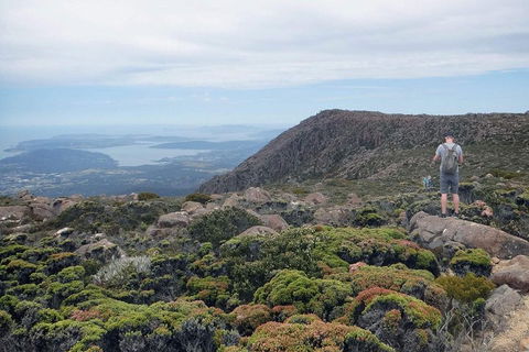 Kunanyi / Mt Wellington Explorer Bus - 2 Hour Return Tour - Surfers Paradise Gold Coast 3