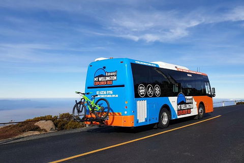 Kunanyi / Mt Wellington Explorer Bus - 2 Hour Return Tour - Surfers Paradise Gold Coast 4