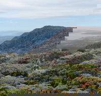 kunanyi/Mt Wellington Explorer Bus - One Way Tour - Surfers Paradise Gold Coast