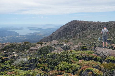 Kunanyi/Mt Wellington Explorer Bus - One Way Tour - Surfers Paradise Gold Coast 0