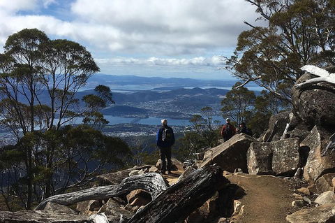 Kunanyi/Mt Wellington Explorer Bus - One Way Tour - Surfers Paradise Gold Coast 2