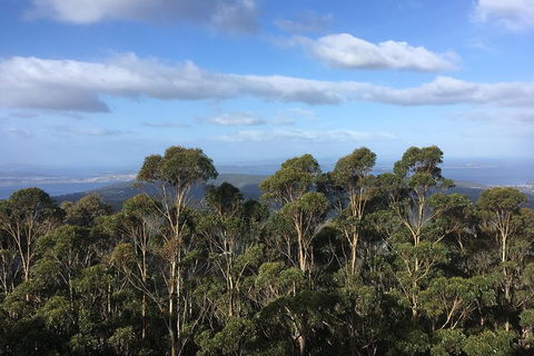 Kunanyi/Mt Wellington Explorer Bus - One Way Tour - Surfers Paradise Gold Coast 5