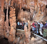 Private Tour Jenolan Caves  Blue Mountains in a day