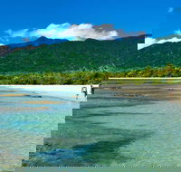 5-Day Best of Cairns with Daintree Kuranda and Great Barrier Reef - Surfers Paradise Gold Coast