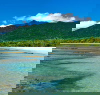 8-Day Cairns Tour Great Barrier Reef Kuranda Daintree Rainforest - Surfers Paradise Gold Coast