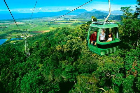 4-Day Cairns Ultimate Combo: Daintree Rainforest, Reef, Kuranda & Paronella Park - Surfers Paradise Gold Coast 1
