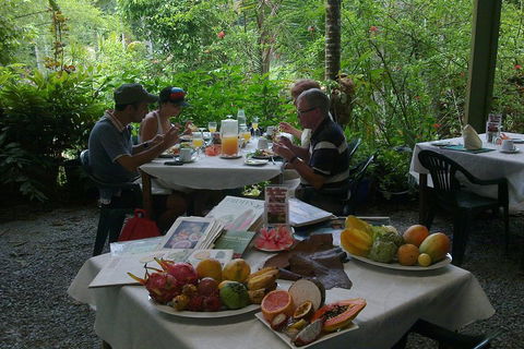 4-Day Cairns Ultimate Combo: Daintree Rainforest, Reef, Kuranda & Paronella Park - Surfers Paradise Gold Coast 4