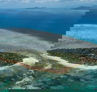 4-Day Cairns with Great Barrier Reef and Daintree Rainforest - Surfers Paradise Gold Coast