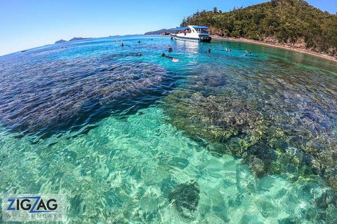 Whitehaven Beach Day Tour With Snorkel In Whitsundays Island - Surfers Paradise Gold Coast 5