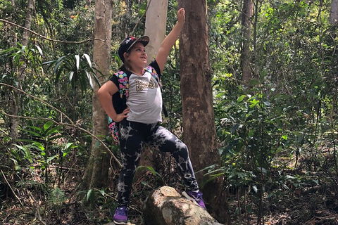Natural Bridge, Skywalk And Mt Tamborine Adventure! - Surfers Paradise Gold Coast 3