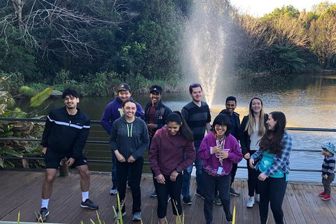 Natural Bridge, Skywalk And Mt Tamborine Adventure! - Surfers Paradise Gold Coast 4