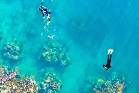 Fly & Cruise - Seaplane Package - Surfers Paradise Gold Coast 1