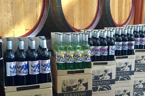 Mclaren Vale Luxury Full Day Small Group Wine Tour - Surfers Paradise Gold Coast 0