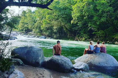 Afternoon Half-Day Daintree Rainforest And River Tour - Surfers Paradise Gold Coast 0