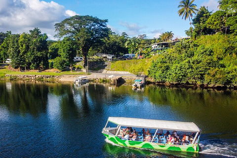 Afternoon Half-Day Daintree Rainforest And River Tour - Surfers Paradise Gold Coast 1