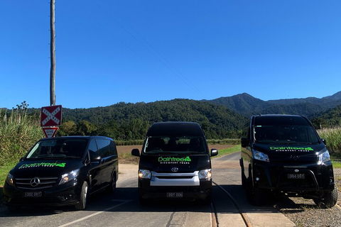 Afternoon Half-Day Daintree Rainforest And River Tour - Surfers Paradise Gold Coast 4
