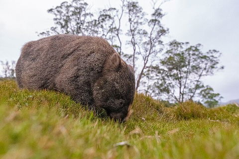 3-Day Cradle Mountain Photography Workshop - Surfers Paradise Gold Coast 0