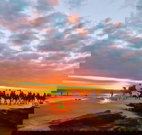 1 Hour Broome Sunset Camel Tour - Surfers Paradise Gold Coast