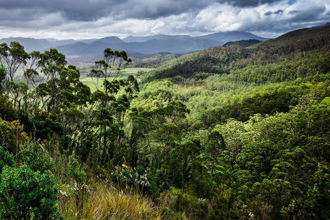 3-Day Tour To The Falls, Mountains, Lake & More Of West Coast Tasmania - Surfers Paradise Gold Coast 0