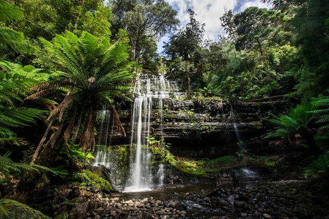 3-Day Tour To The Falls, Mountains, Lake & More Of West Coast Tasmania - Surfers Paradise Gold Coast 4