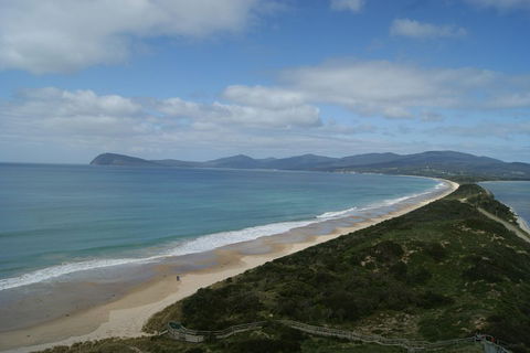 Bruny Island Day Trip From Hobart - Surfers Paradise Gold Coast 0