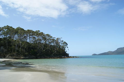 Bruny Island Day Trip From Hobart - Surfers Paradise Gold Coast 1