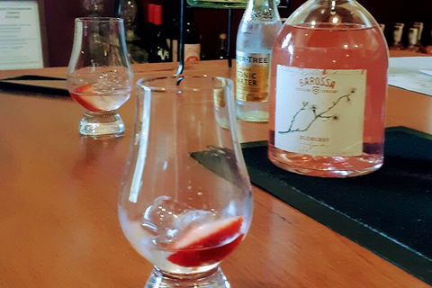 Tipple Of Gin Experience Tour - Surfers Paradise Gold Coast 1
